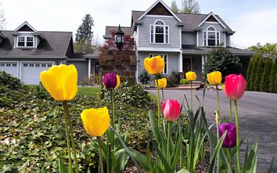 Maintaining Your Home In Spring