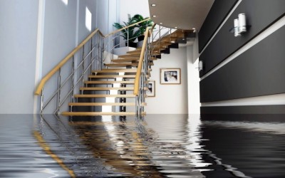 Maintenance Tips To Help Prevent Water Damage In Your New Home